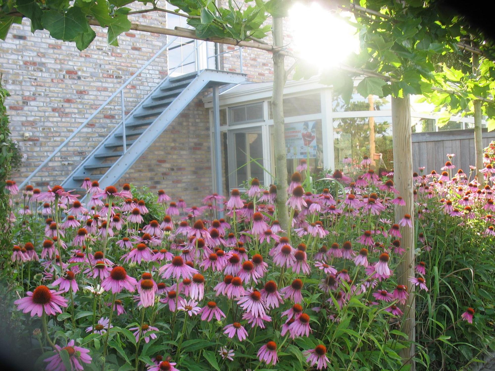 B&B Greenhouse 37 Langemark Bagian luar foto