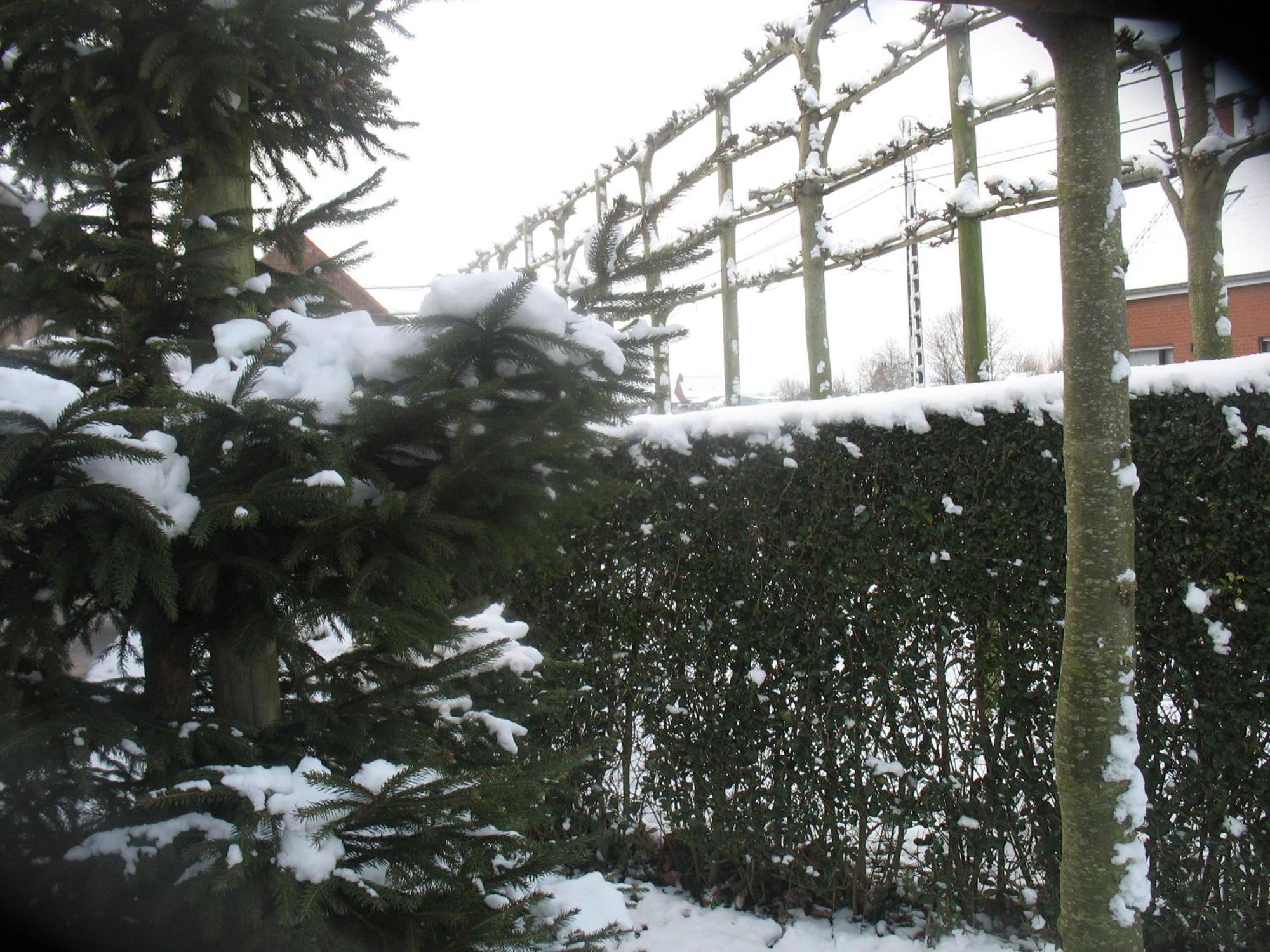 B&B Greenhouse 37 Langemark Bagian luar foto